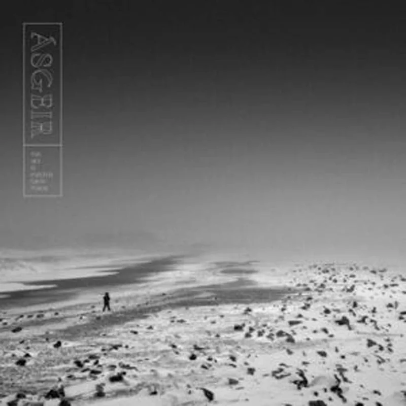 assai3351964