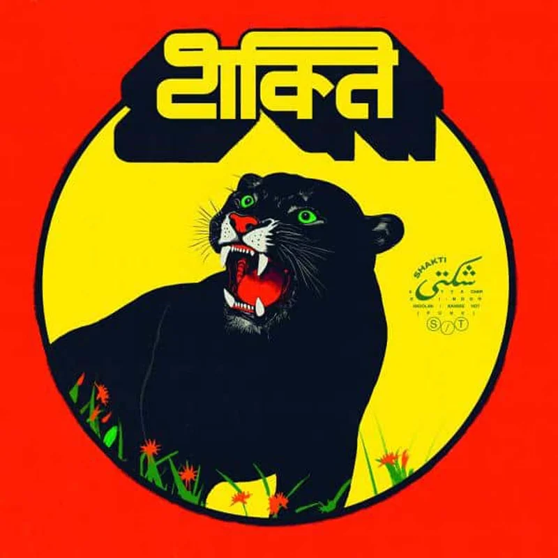 assai4040351