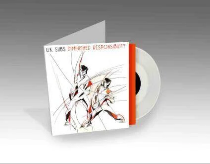 diversevinyl2543295