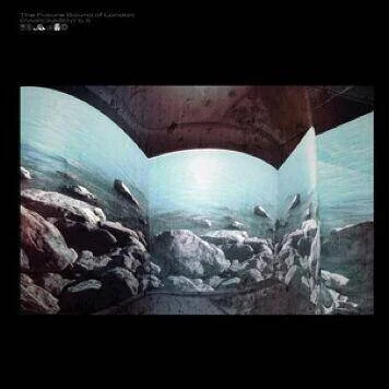 diversevinyl2579561