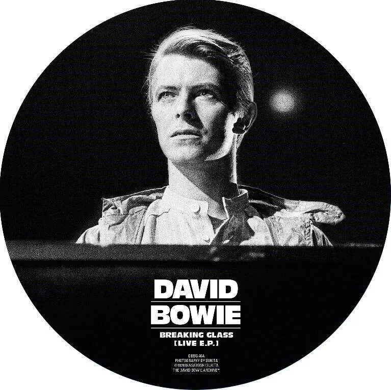 diversevinyl2592276
