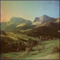 diversevinyl2594404