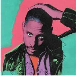 diversevinyl2610082
