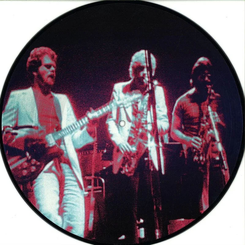 diversevinyl2610436