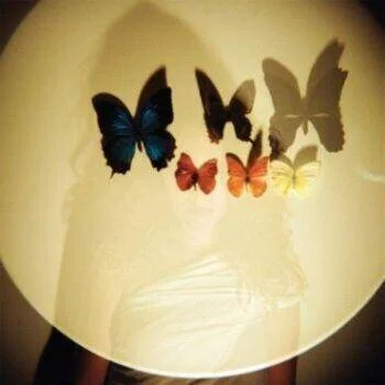 diversevinyl2654725