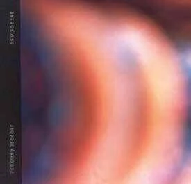 diversevinyl2669464