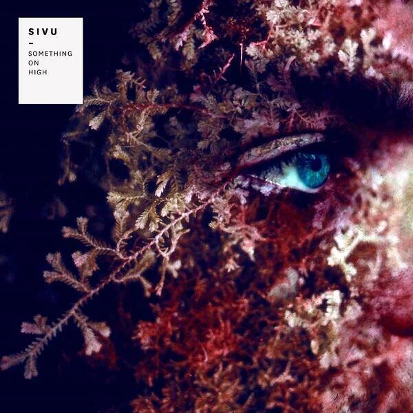 diversevinyl2672991