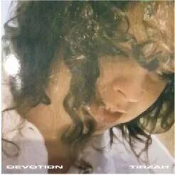 diversevinyl2680377