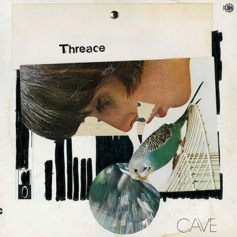 diversevinyl2690948
