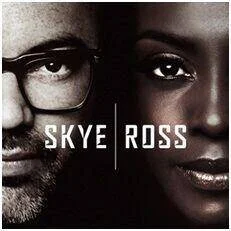 diversevinyl2691381