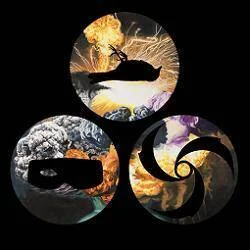 diversevinyl2817582