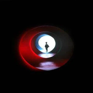 diversevinyl2822472