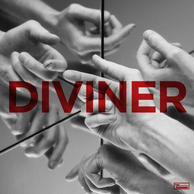 diversevinyl2828645