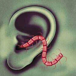 diversevinyl2839689