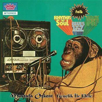 diversevinyl2859218