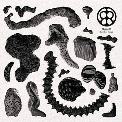 diversevinyl2863113