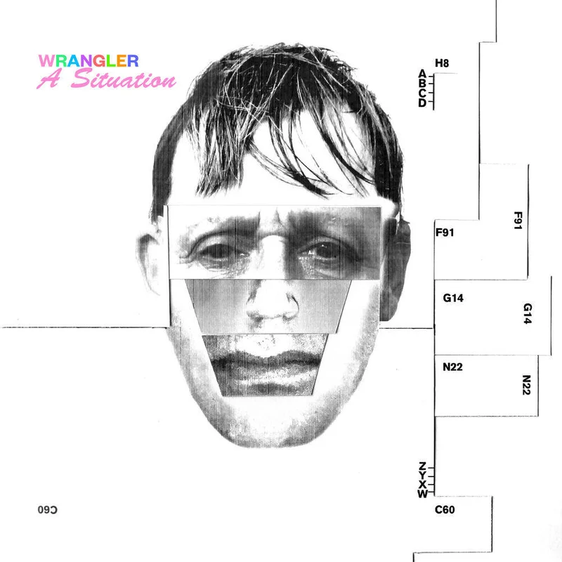 diversevinyl2864827