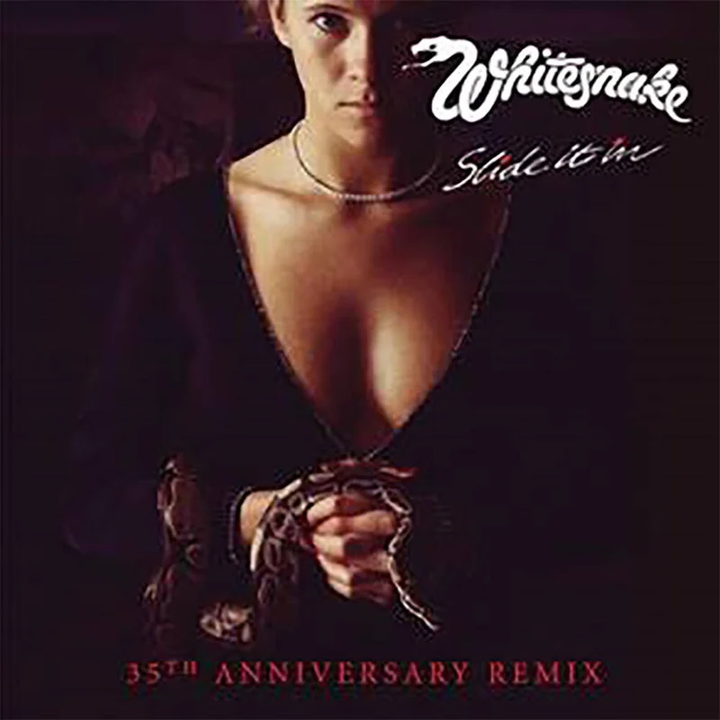diversevinyl2871847