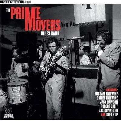diversevinyl2878929