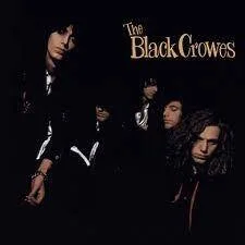 diversevinyl2889302