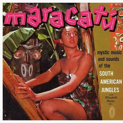 diversevinyl2911934