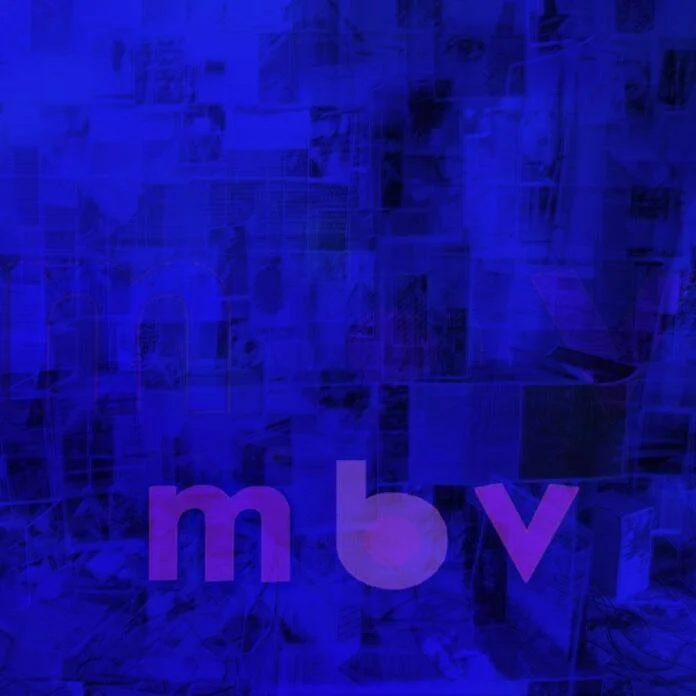 diversevinyl2918128