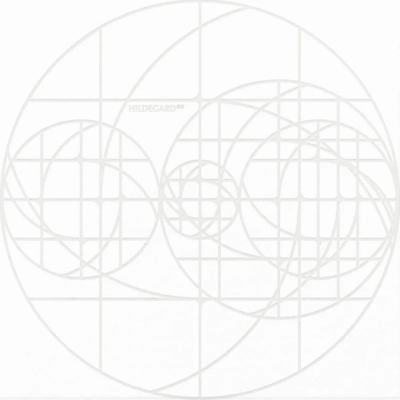 diversevinyl2918379