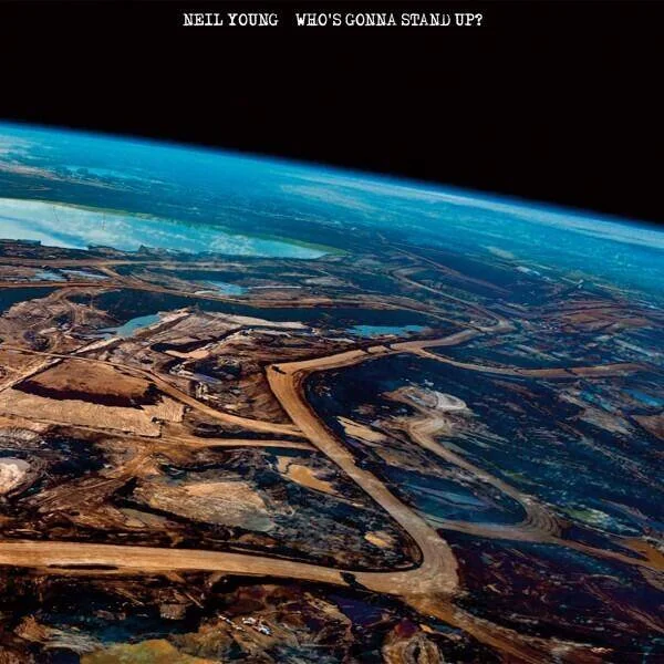diversevinyl2921772