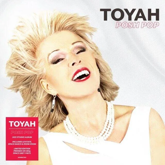diversevinyl2929493