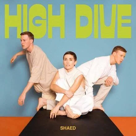 diversevinyl2935192