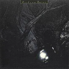 diversevinyl2956451