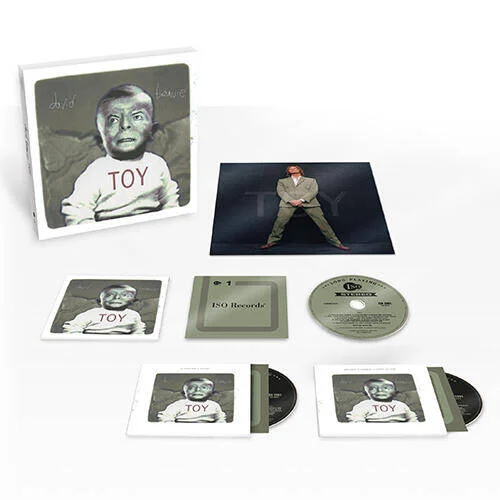 diversevinyl2965458