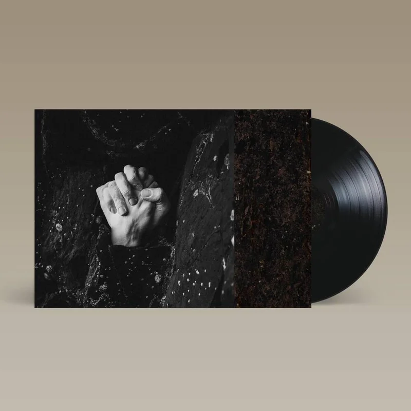 diversevinyl2967995