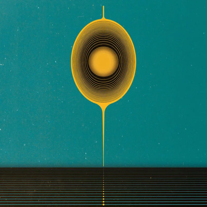 diversevinyl2970397