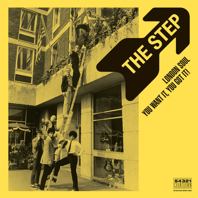 diversevinyl2971898