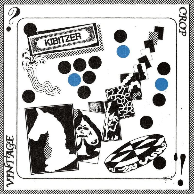 diversevinyl2971959