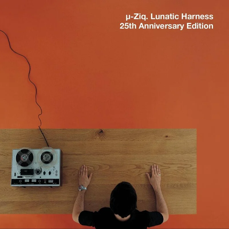 diversevinyl2979249