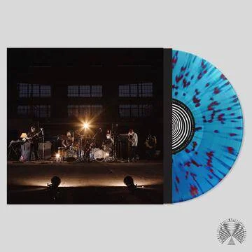 diversevinyl2981089