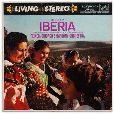 diversevinyl2983822
