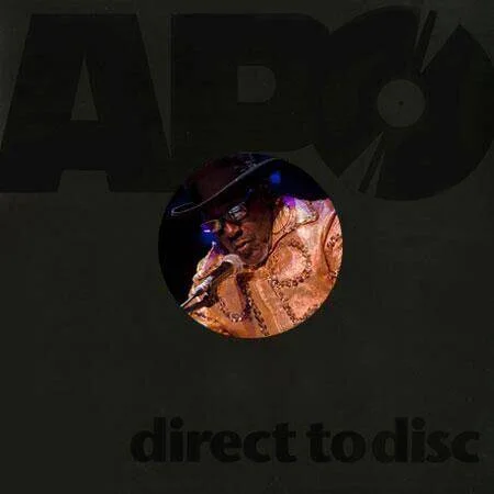diversevinyl2990540