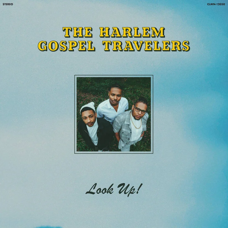 diversevinyl3011175