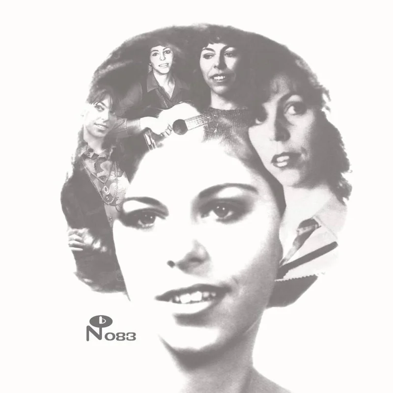 diversevinyl3037915