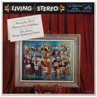 diversevinyl3043174
