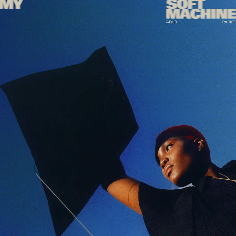 diversevinyl3054983