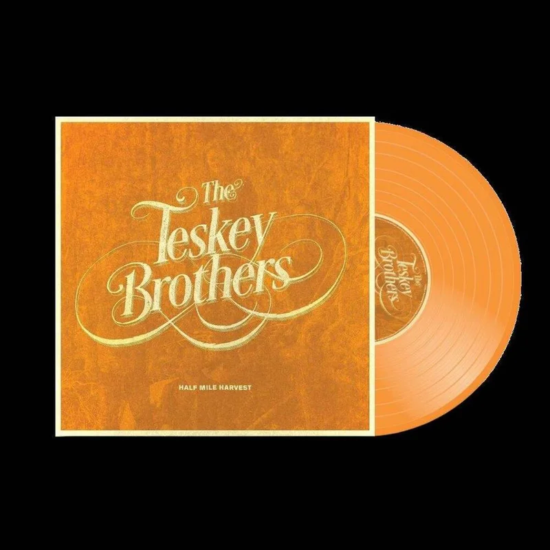 diversevinyl3082781