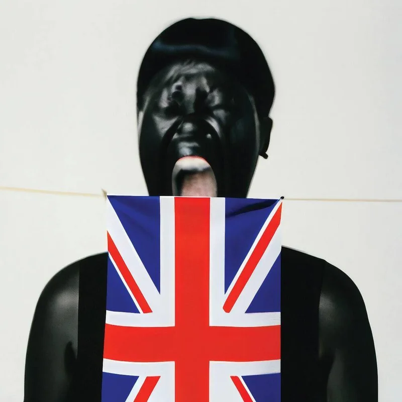 diversevinyl3086819