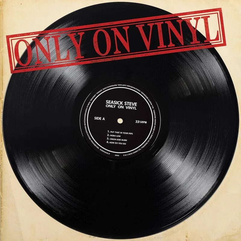 diversevinyl3093379