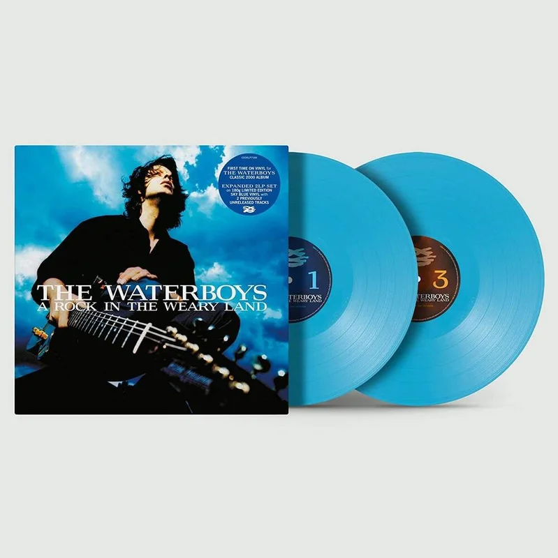 diversevinyl3103889