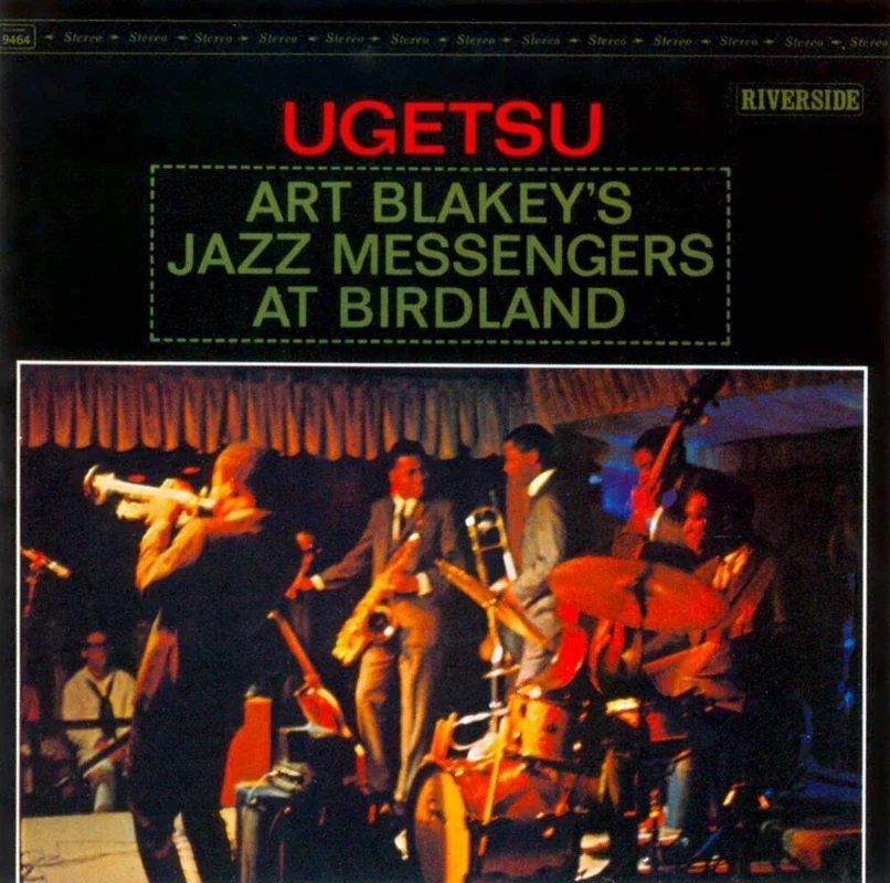 diversevinyl3108654