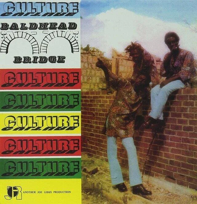 diversevinyl3112473